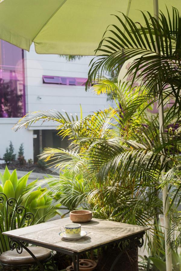 Hostel Spring City 麦德林 外观 照片